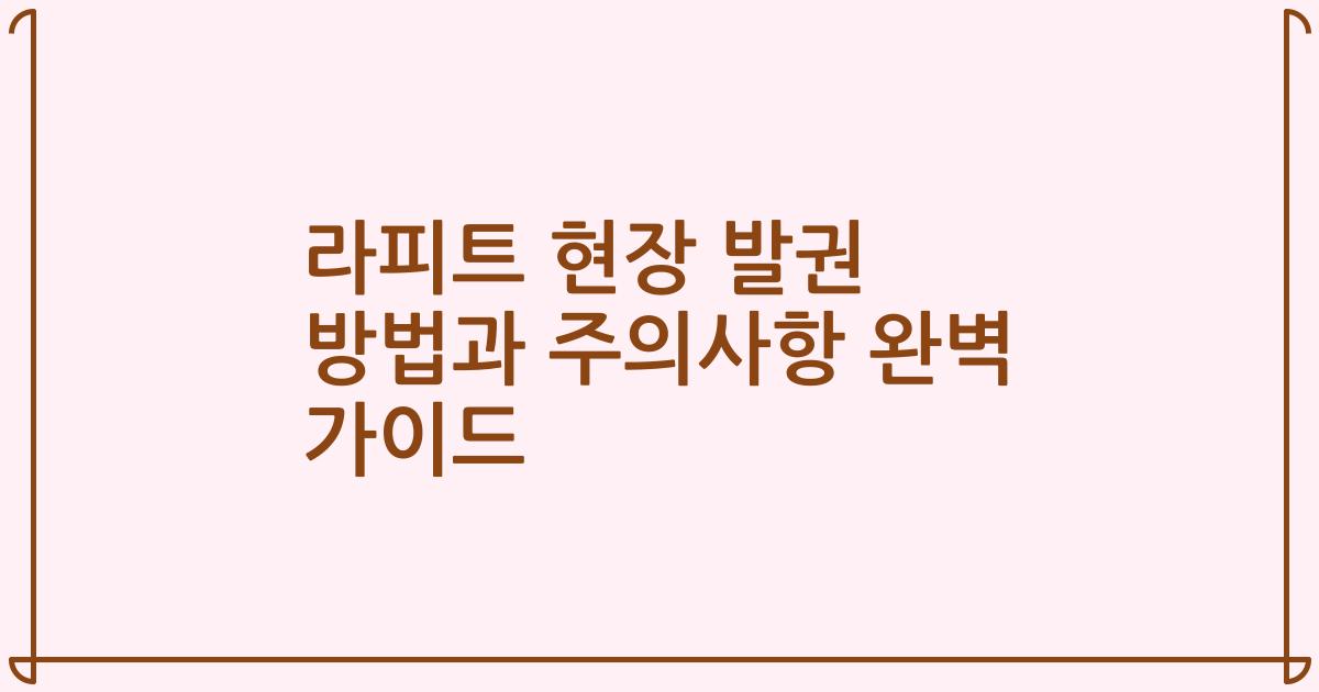 라피트 현장 발권 방법과 주의사항 완벽 가이드